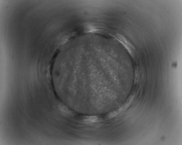 X0000102510377200808221823