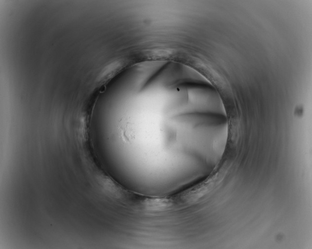 X0000102510378200808221823