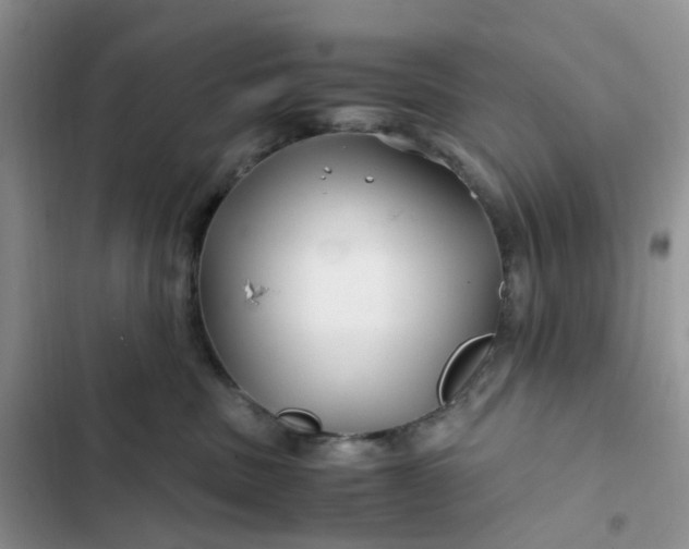 X0000102510379200808221823