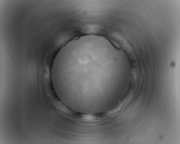 X0000102510380200808221823
