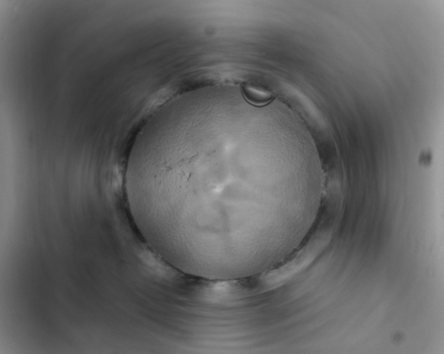 X0000102510382200808221823