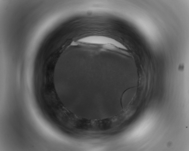 X0000102510383200808221823