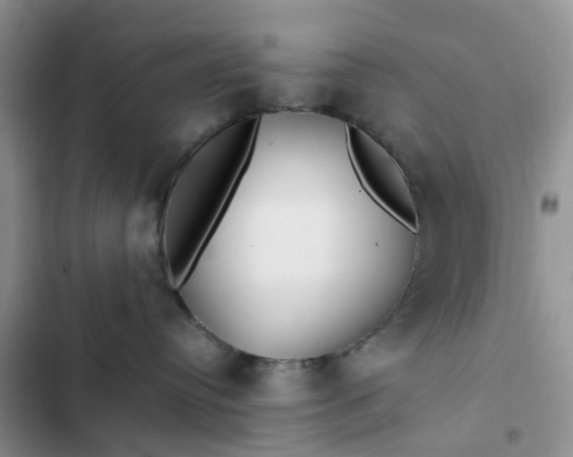 X0000102510384200808221823