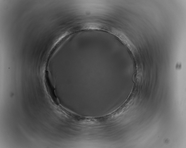 X0000102510386200808221822