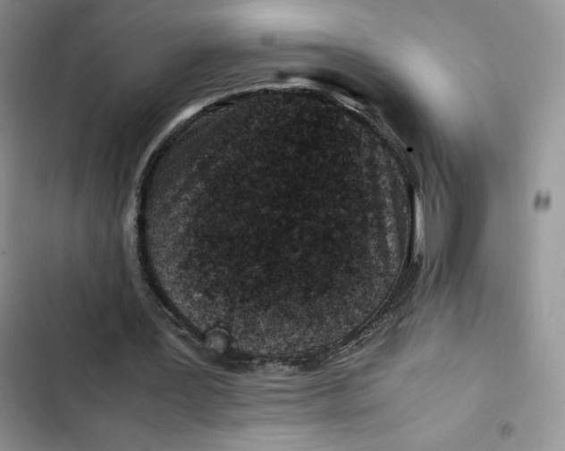 X0000102510387200808221822