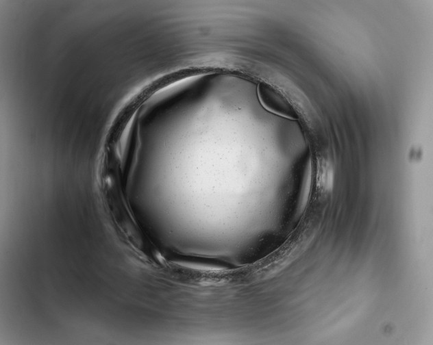 X0000102510388200808221822