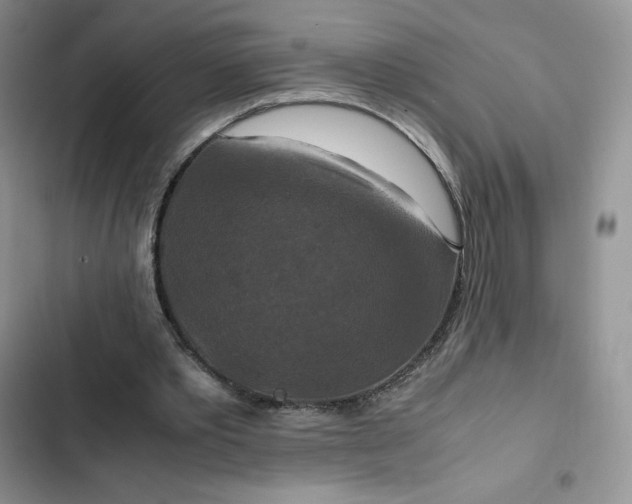 X0000102510389200808221822