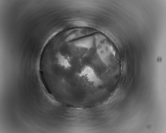 X0000102510390200808221822