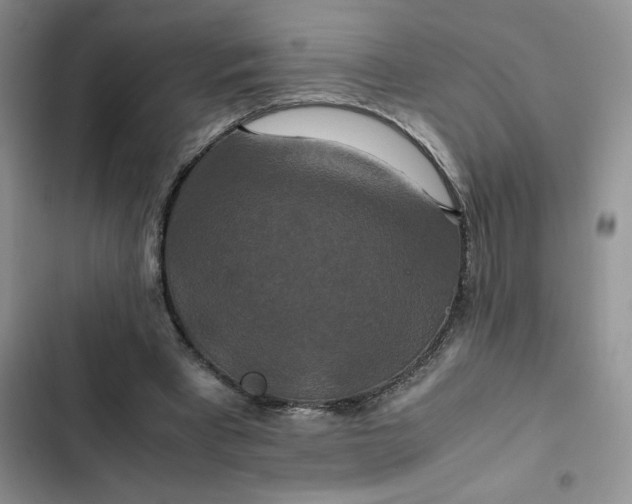 X0000102510393200808221822