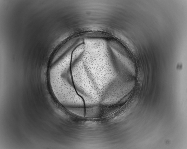 X0000102510394200808221822
