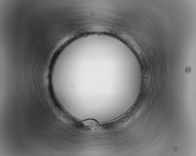 X0000102510395200808221822