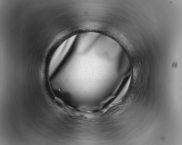 X0000102510396200808221822