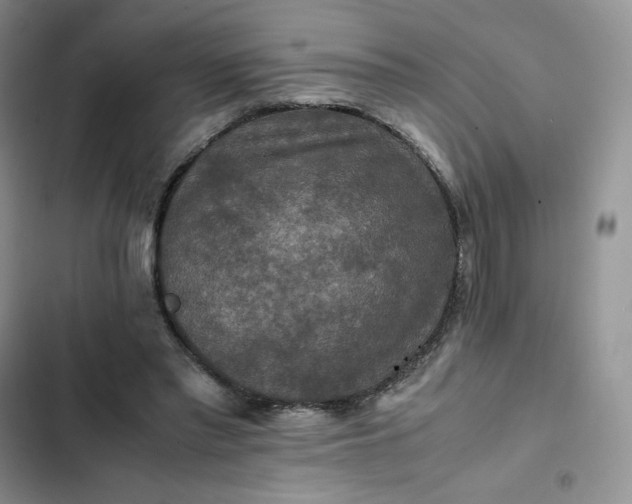 X0000102510397200808221822