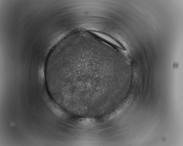 X0000102510398200808221822