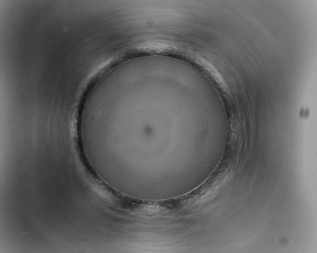 X0000102510399200808221822