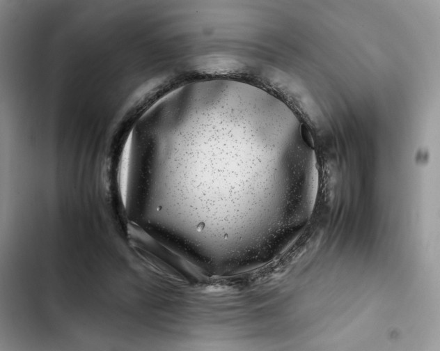 X0000102510400200808221822