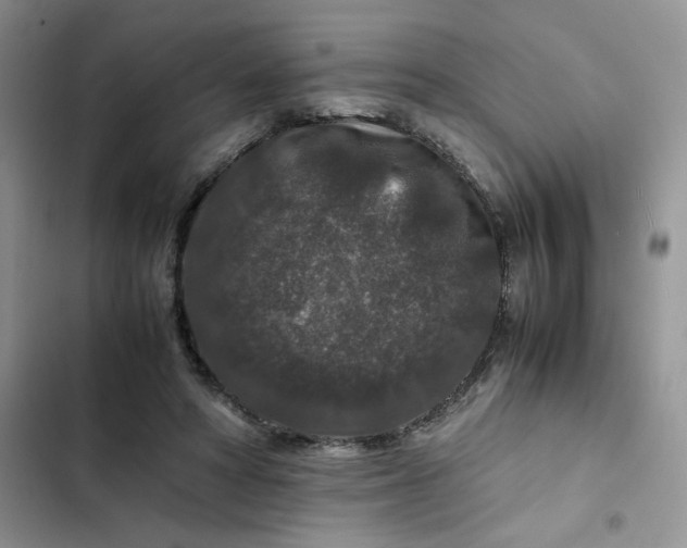 X0000102510402200808221822