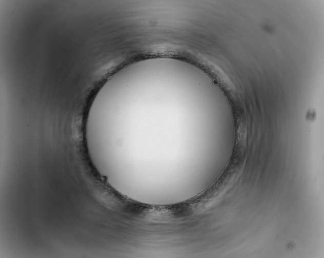 X0000102510403200808221822