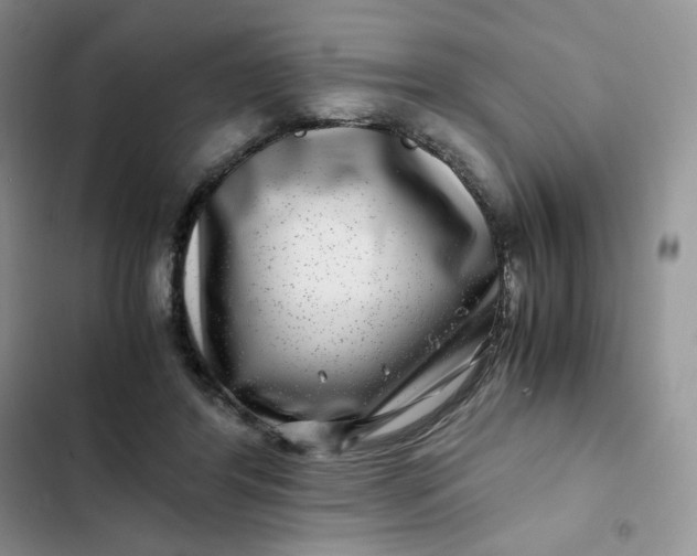 X0000102510404200808221822