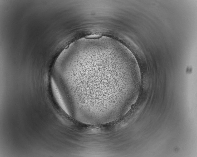 X0000102510405200808221822