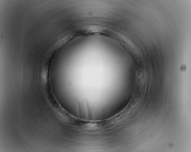 X0000102510406200808221822