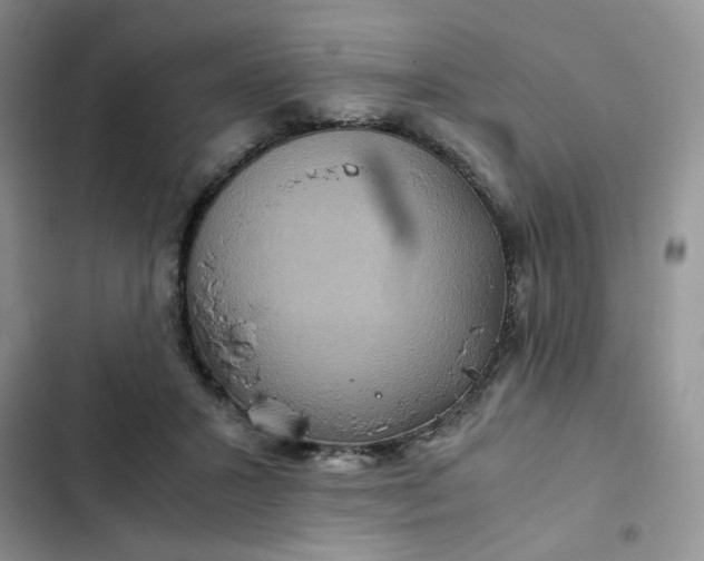 X0000102510407200808221822