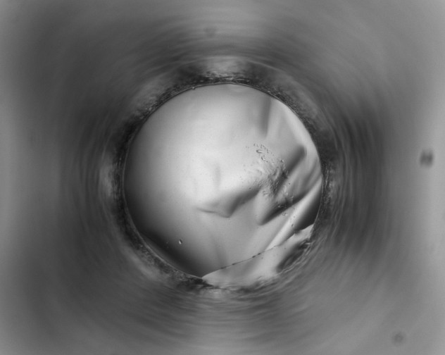 X0000102510408200808221822