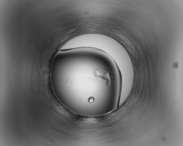 X0000102510409200808221822