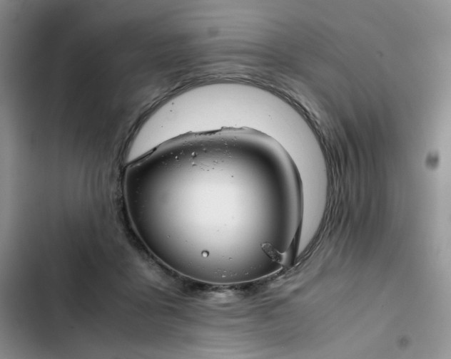 X0000102510411200808221822