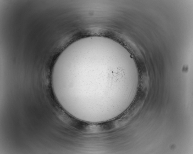 X0000102510413200808221822