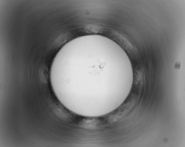 X0000102510414200808221822