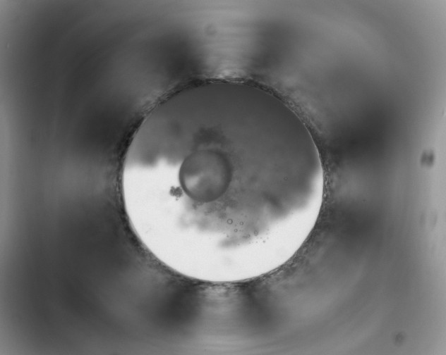 X0000102510415200808221822