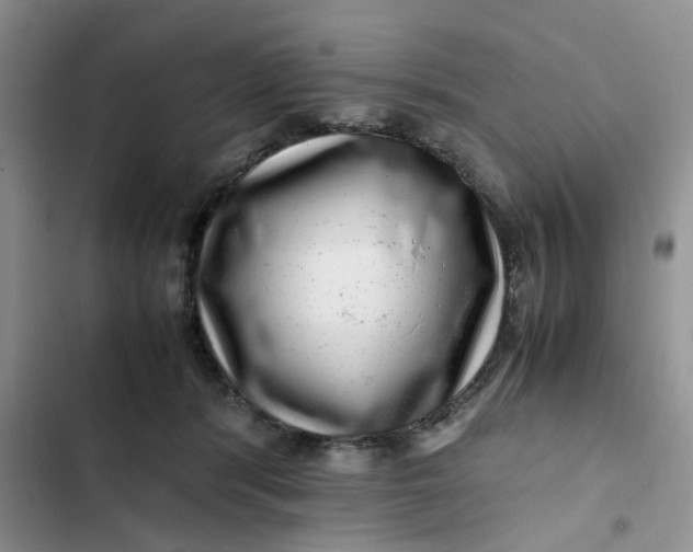 X0000102510416200808221822