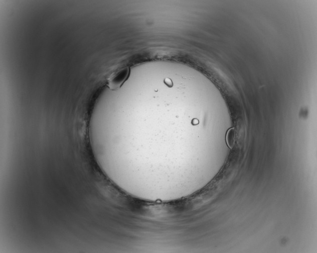 X0000102510417200808221822