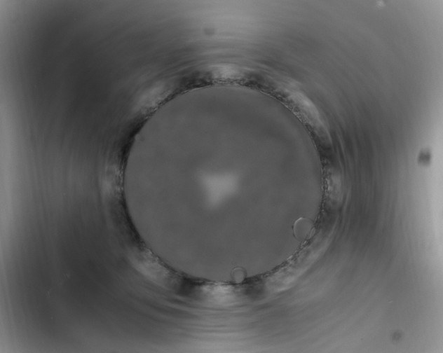 X0000102510419200808221822