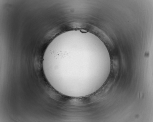X0000102510422200808221822