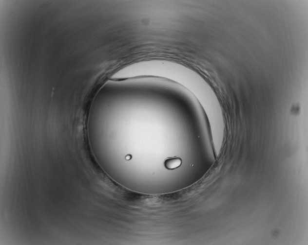 X0000102510423200808221822