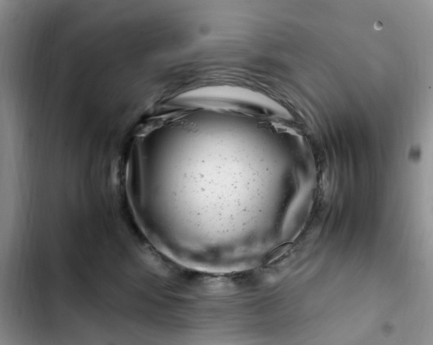 X0000102510424200808221822