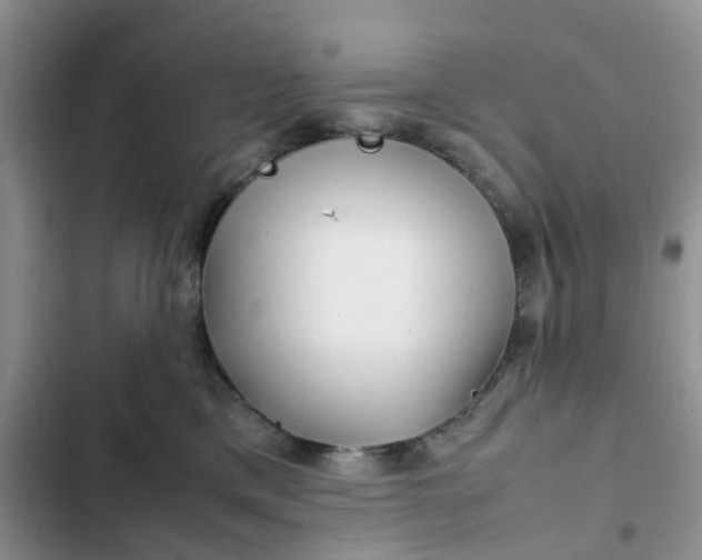 X0000102510425200808221822