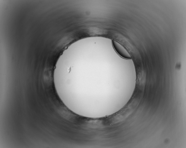 X0000102510426200808221821