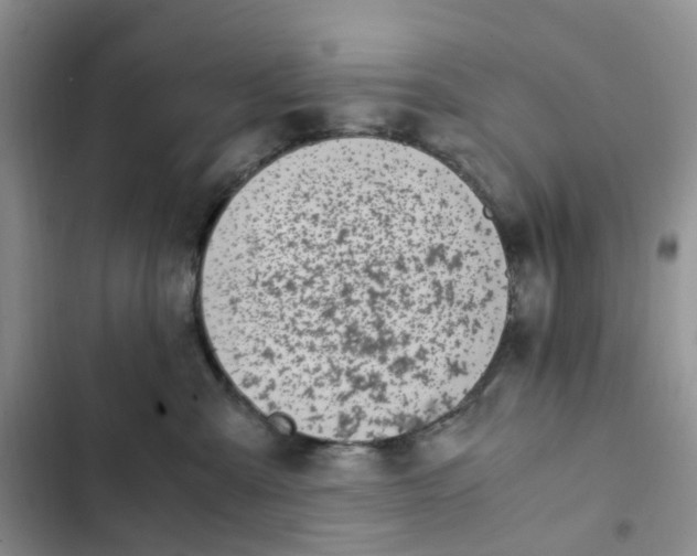 X0000102510427200808221821