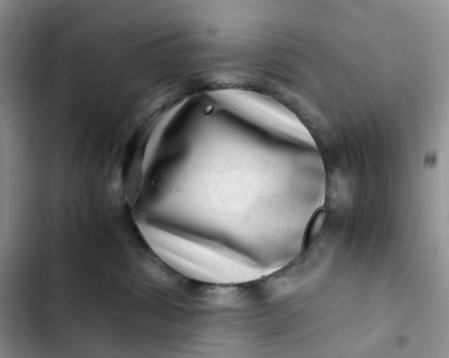 X0000102510428200808221821