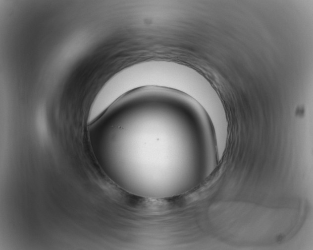 X0000102510429200808221821