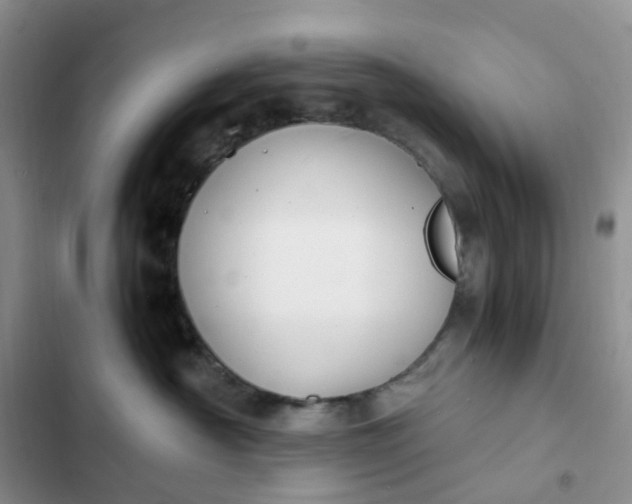 X0000102510430200808221821