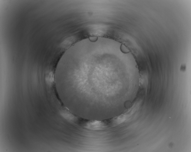 X0000102510431200808221821