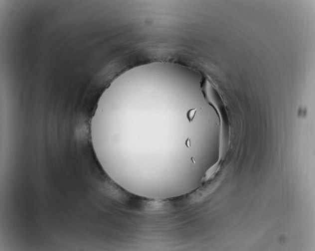 X0000102510432200808221821