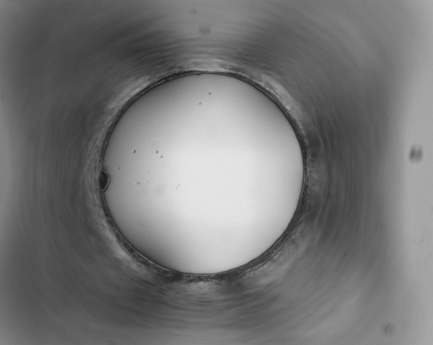 X0000102510433200808221821
