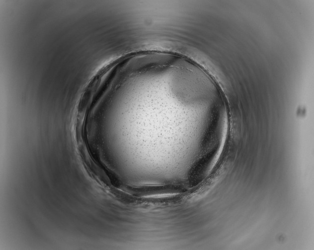 X0000102510434200808221821