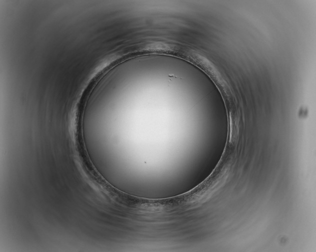 X0000102510435200808221821