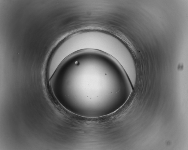 X0000102510436200808221821
